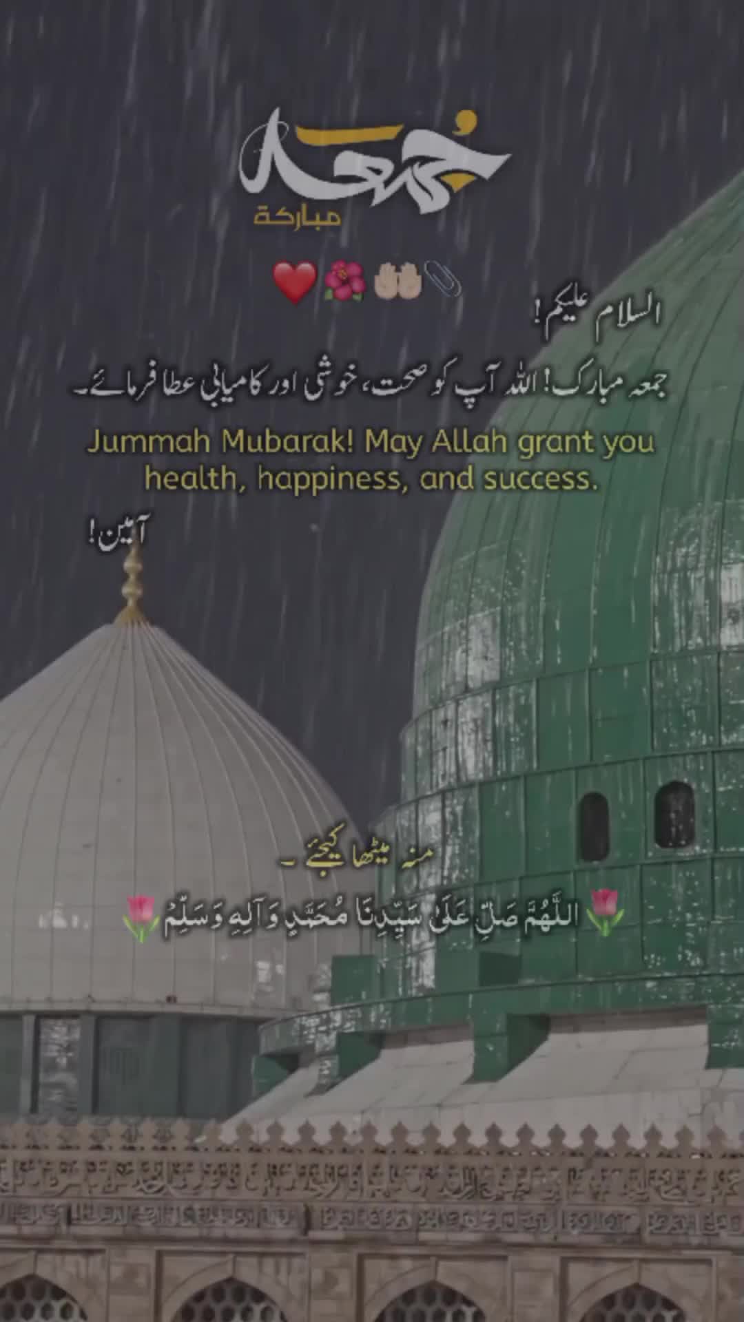 @Mehar Sameer
