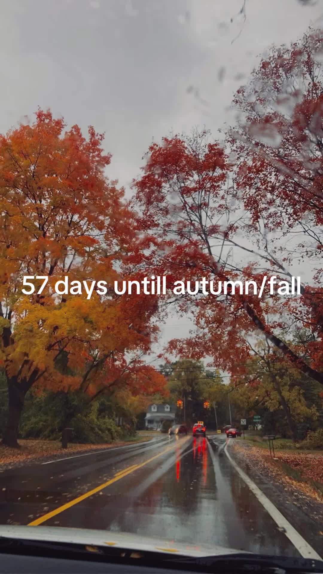 @_katiexlee_