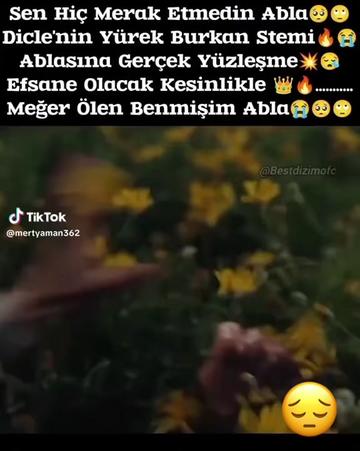 @ZERDALi