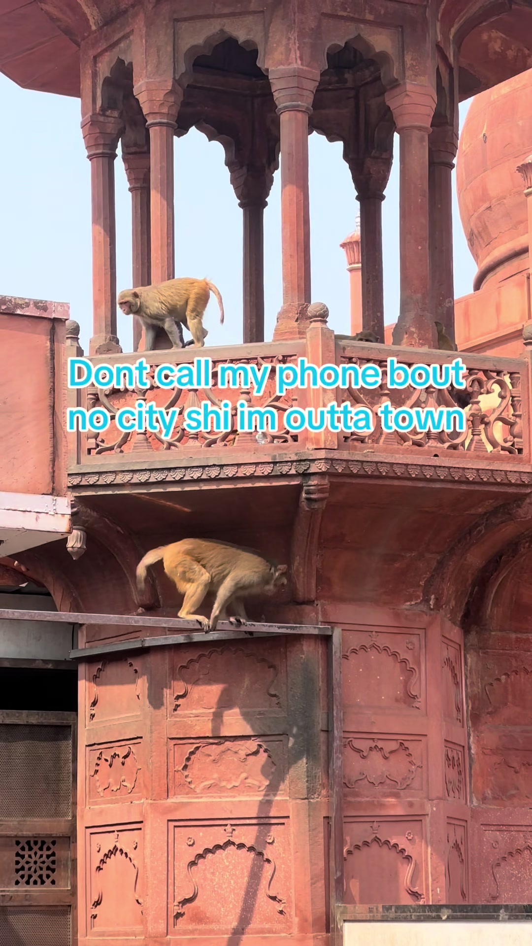 @Jaya