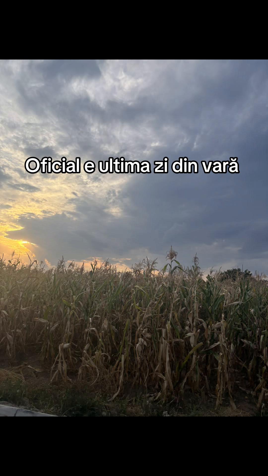 @repost