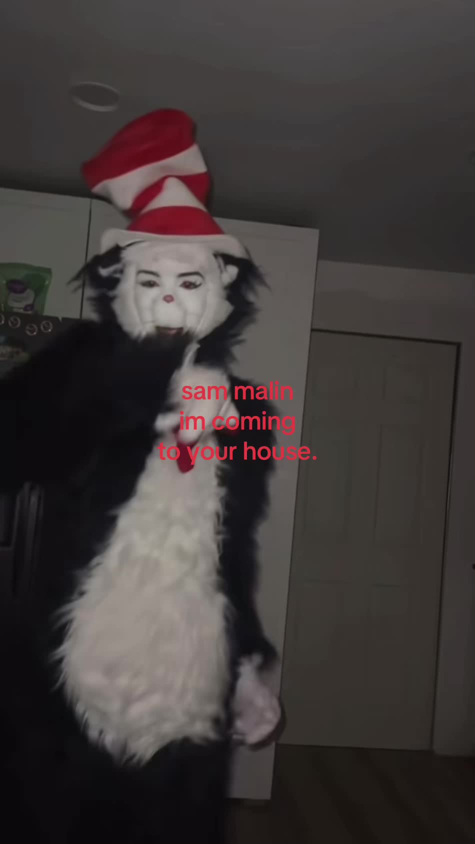 @Cat in the hat (Nunny)