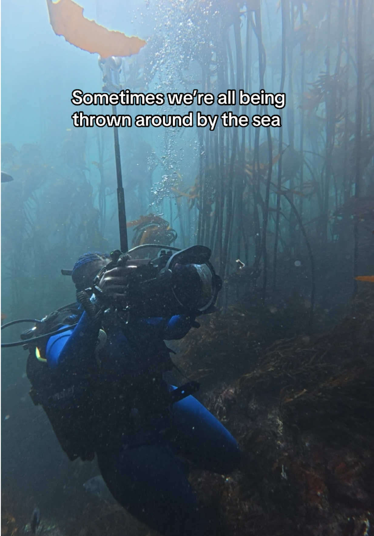 @The Black Mermaid