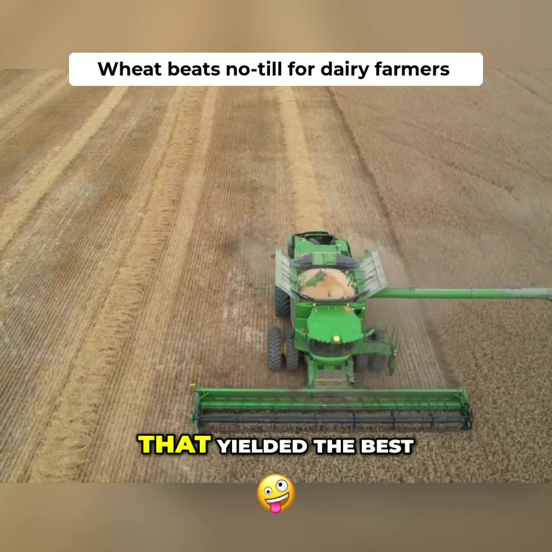 @Kip Siegler Farming