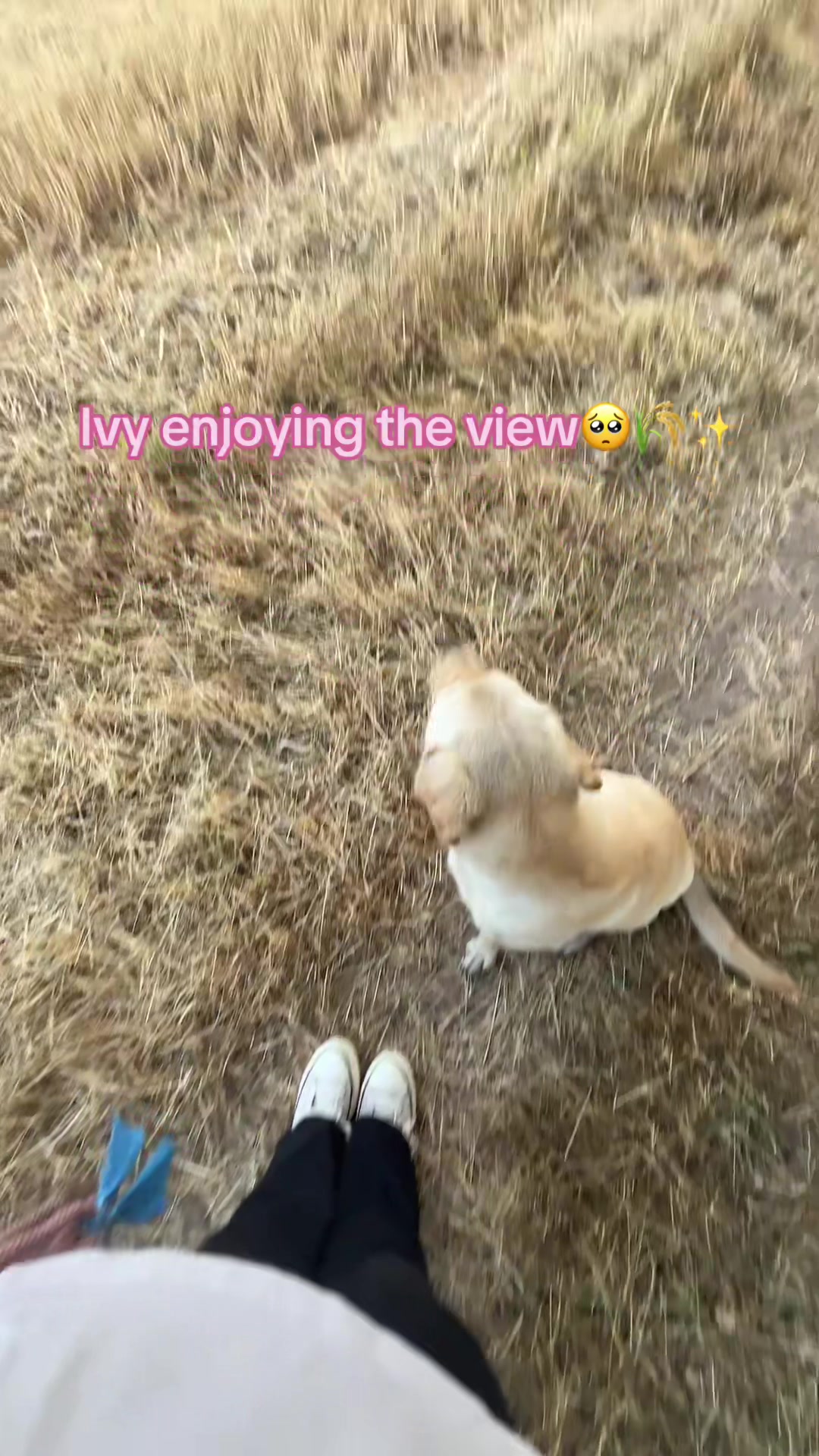 @Mollmcm