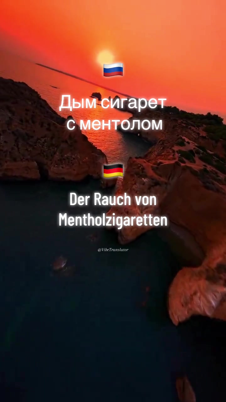 @VibeTranslator