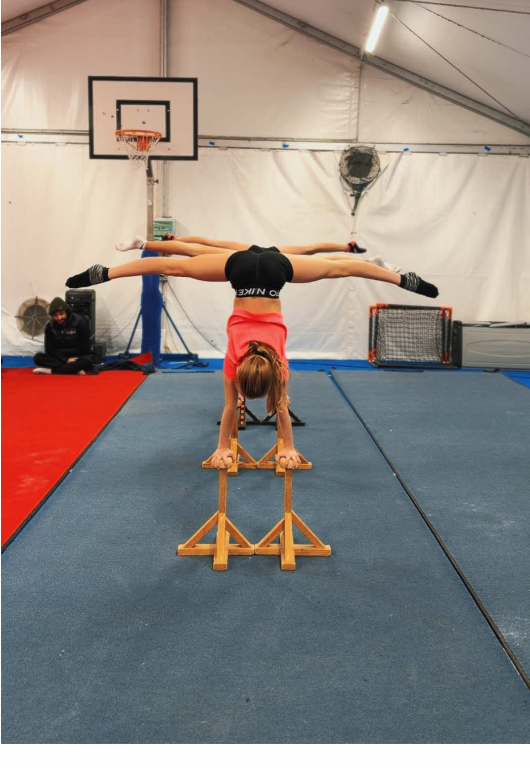 @asd acrotigers🧡🖤