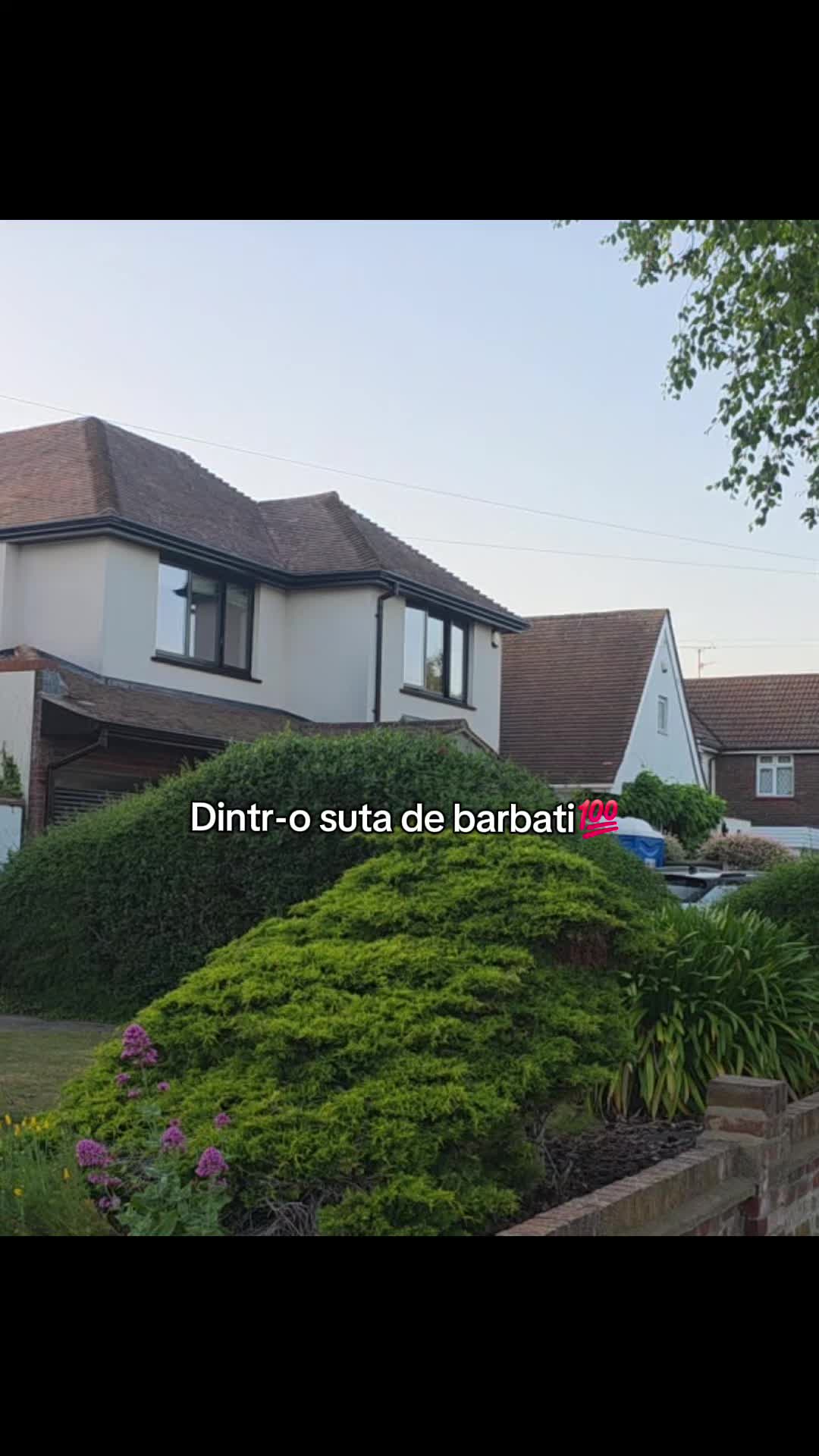 @Idei de melodii pentru TikTok