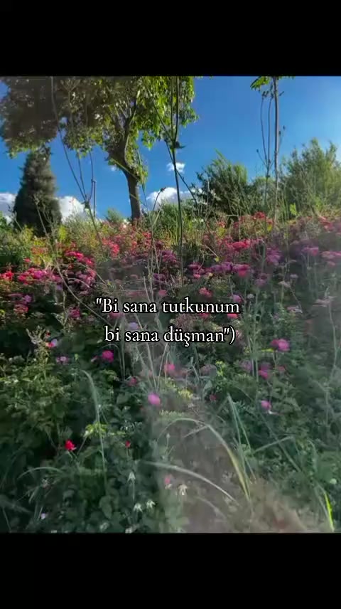 @𝑪🐆