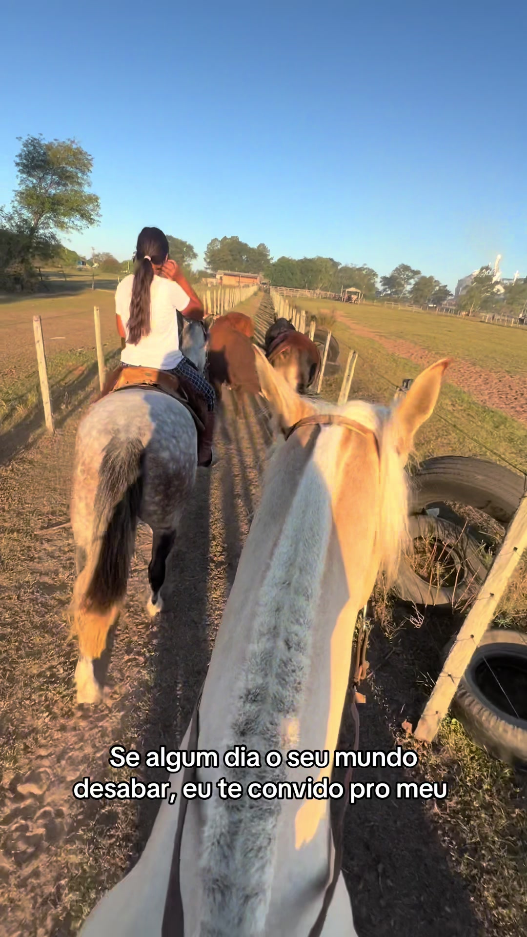 @Colorado da Baldez 🤎🐴