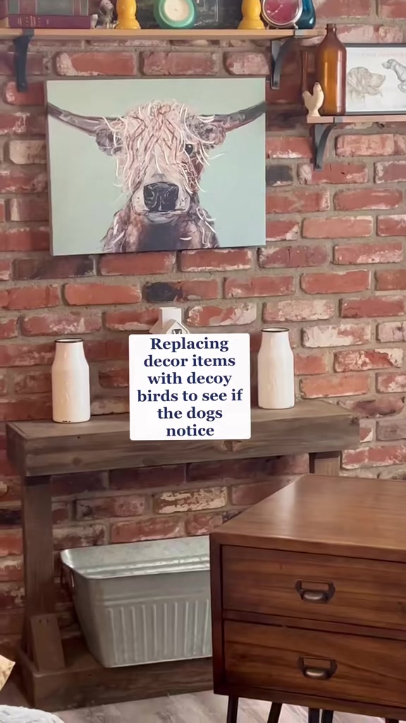 @alice_the_gsp