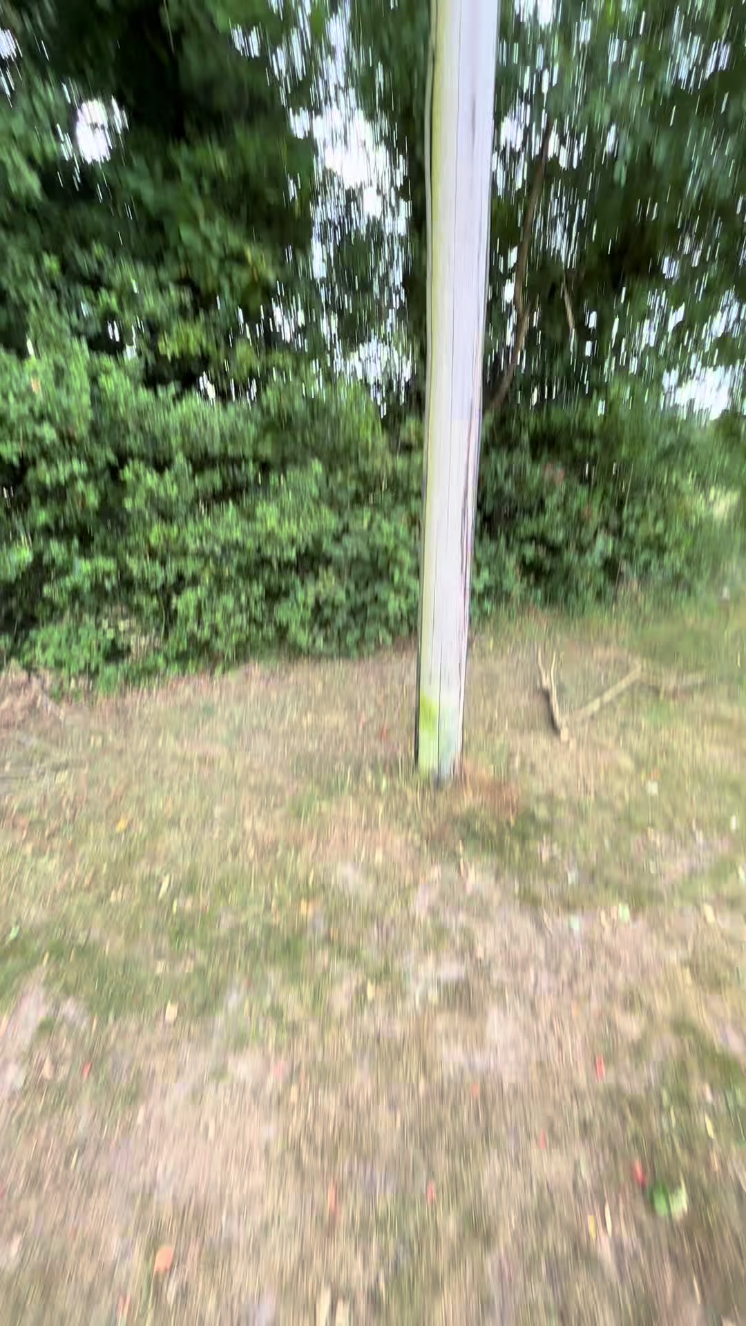 @LJelectrical