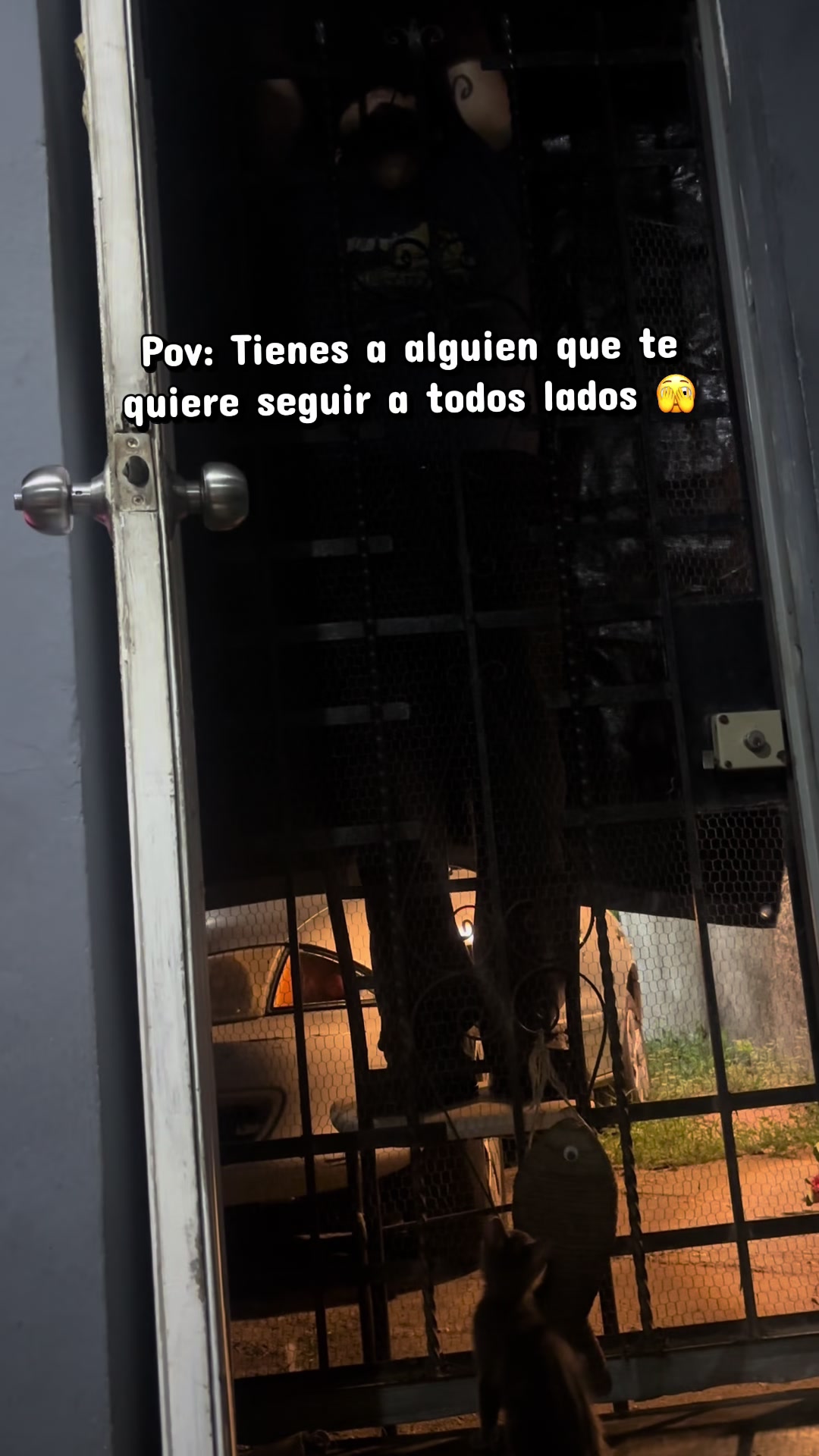 @La Paloma 🖤