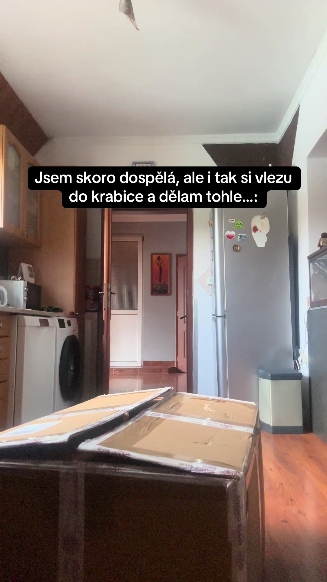 @minibickos