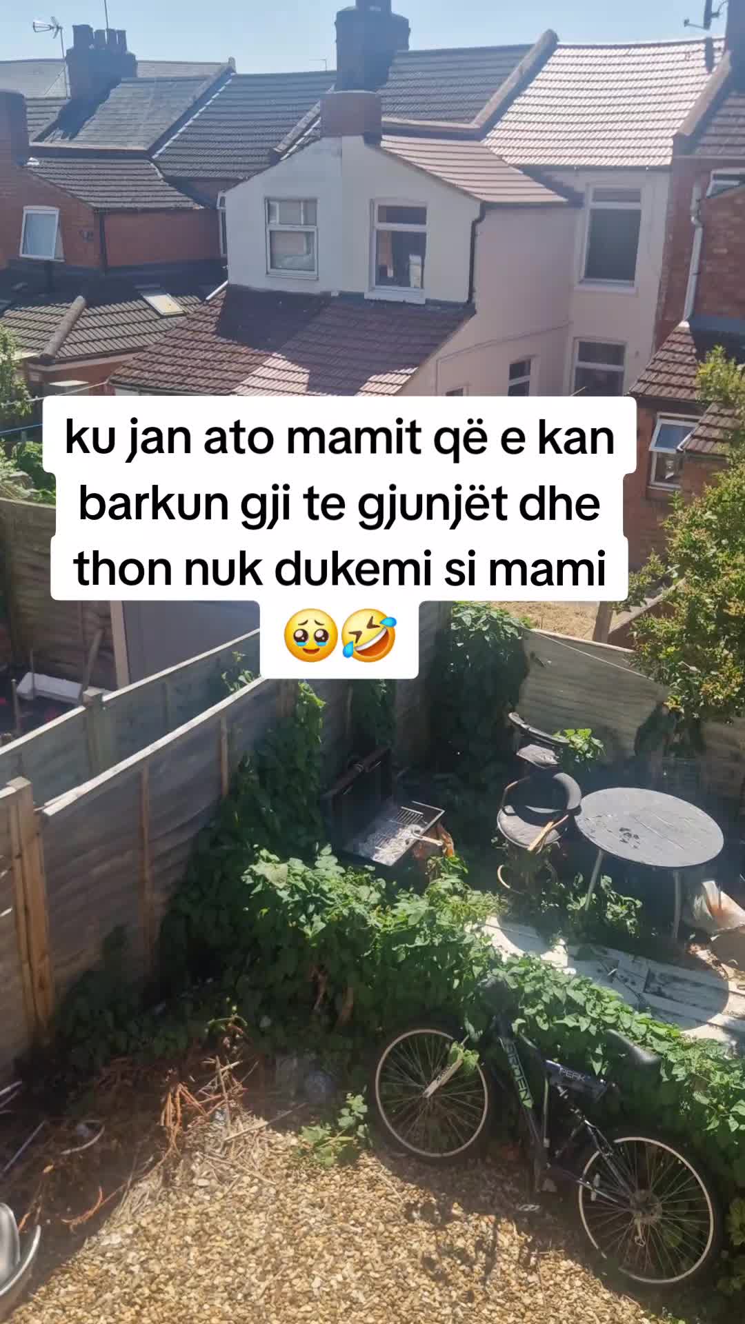 @te pash ne fier