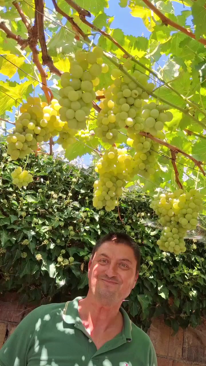 @Минчо Танков