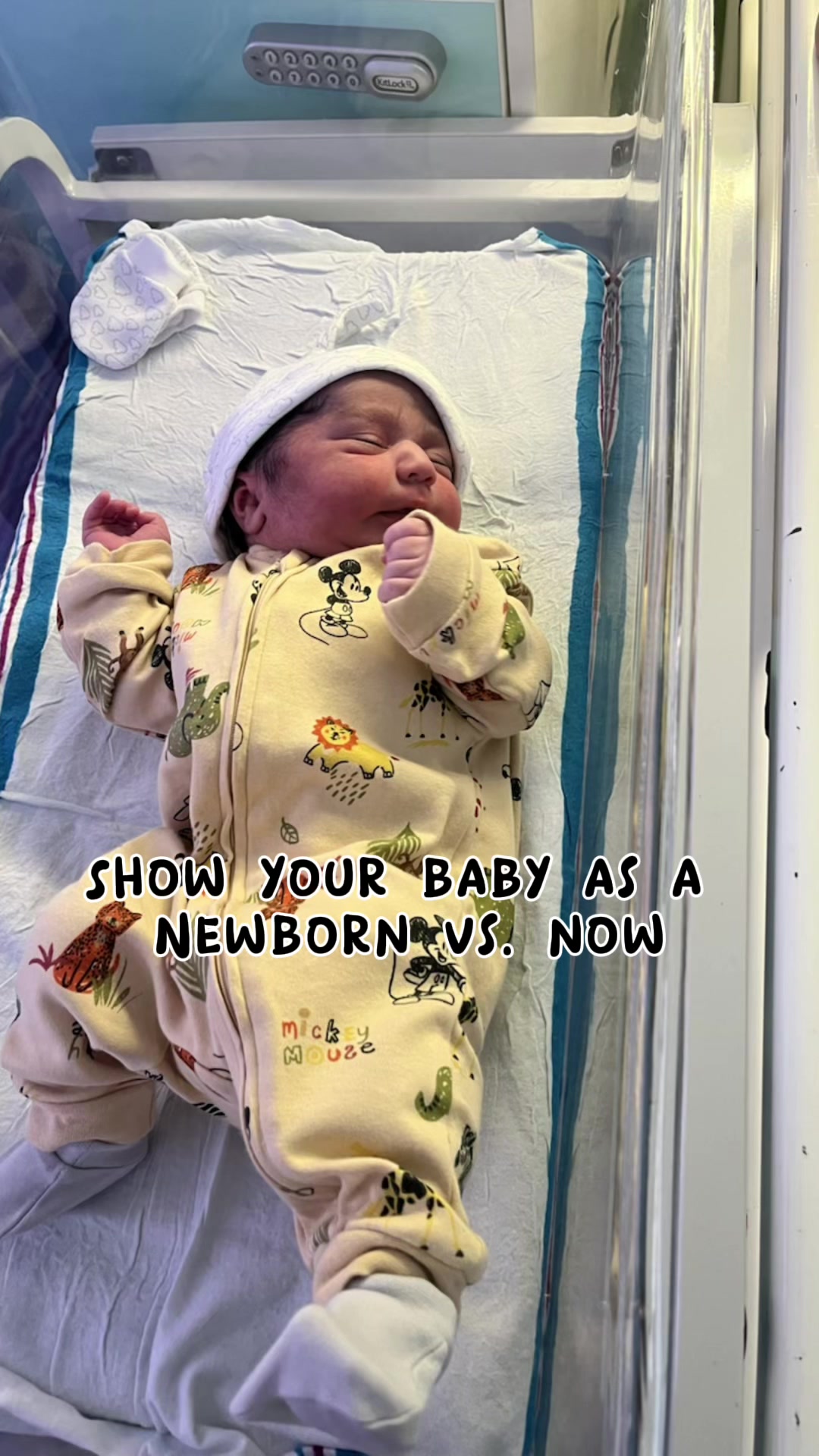 @neetu