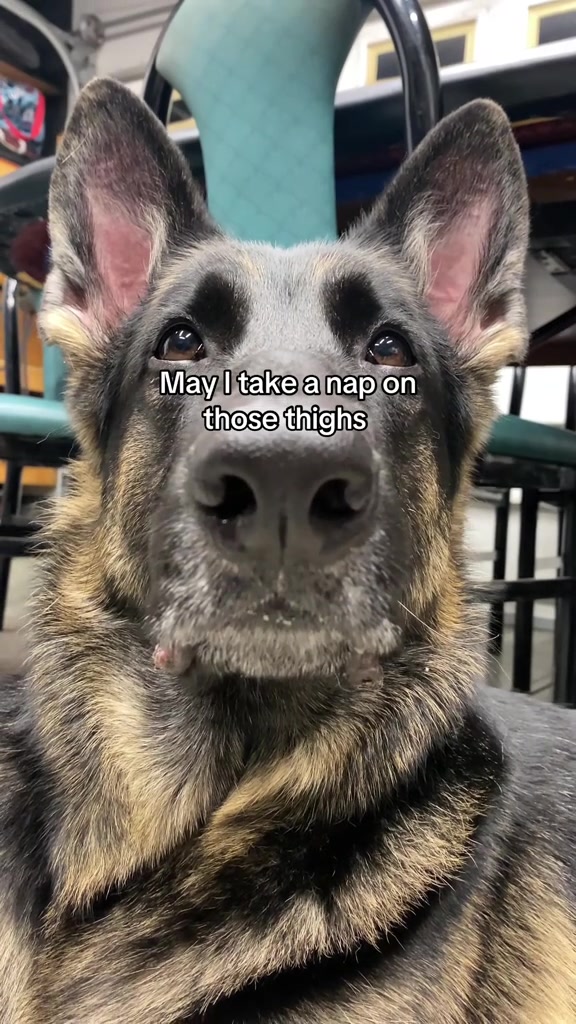 @Bhris