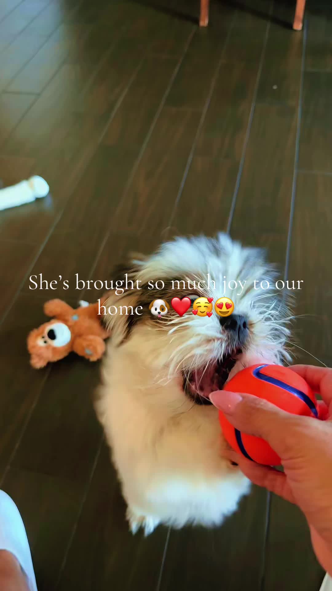@Gina 👑