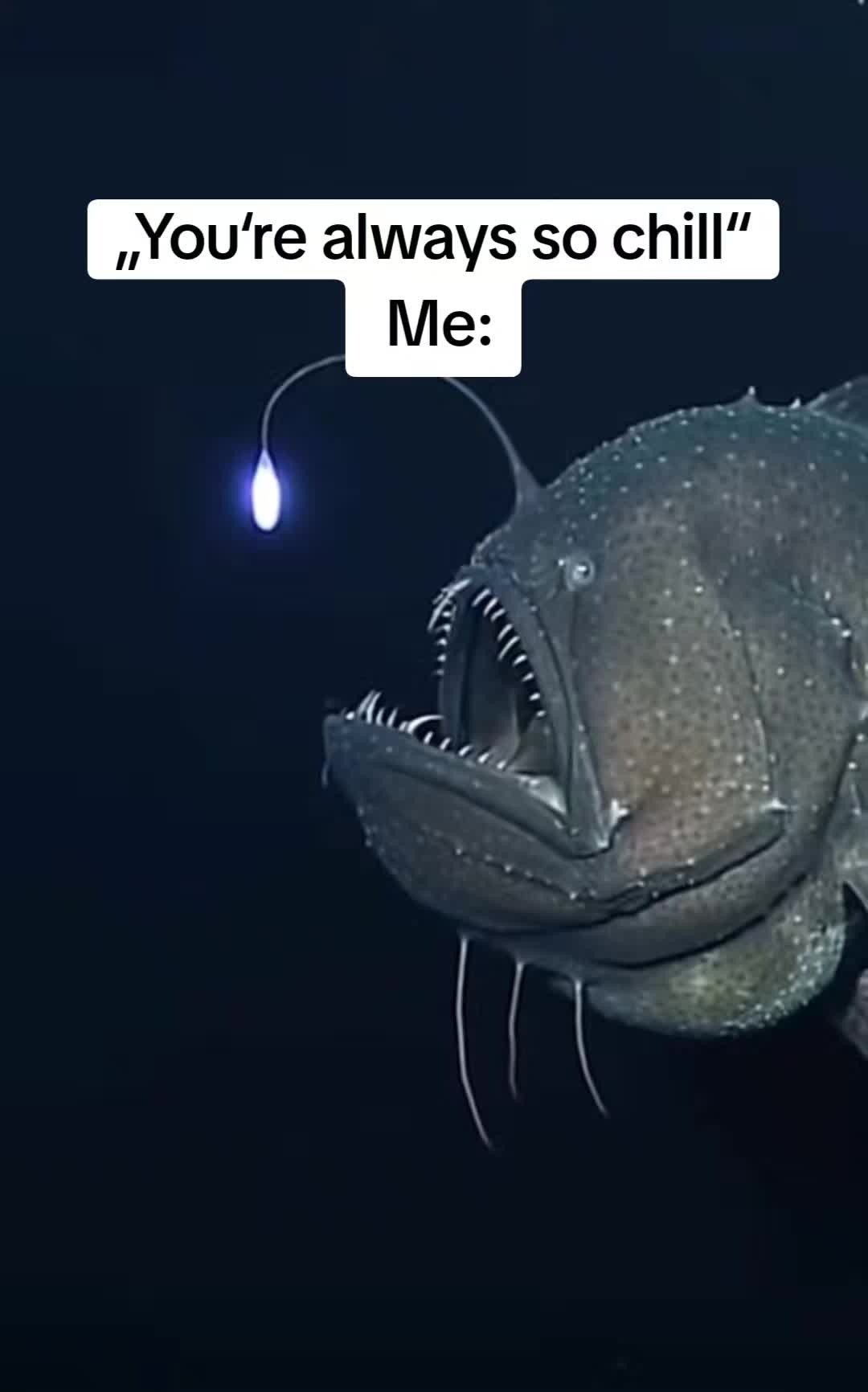 @grayshift