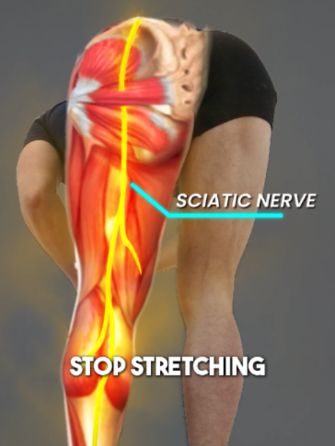 @Recover Pain