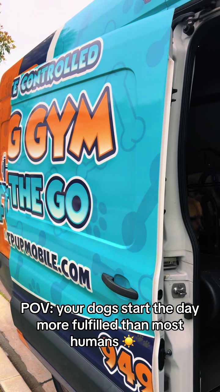 @FITPUP Mobile Dog Gym