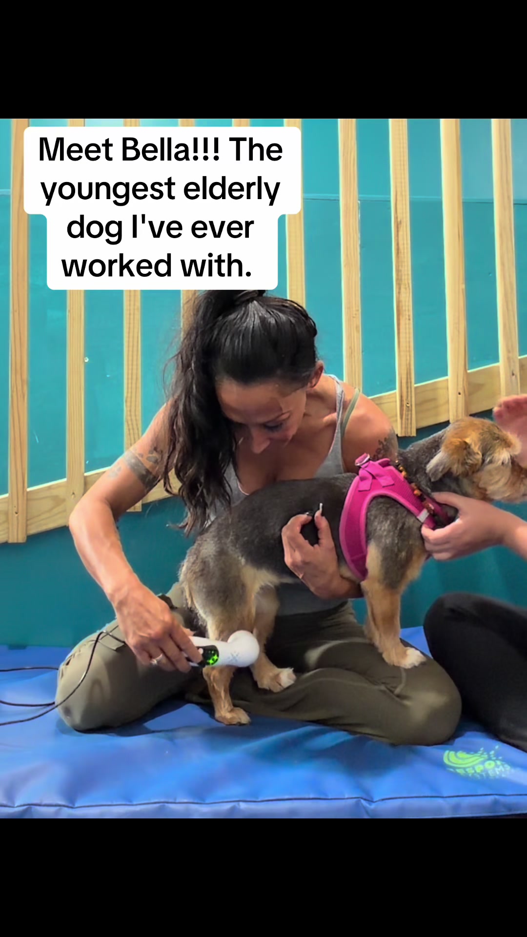 @dogmom76
