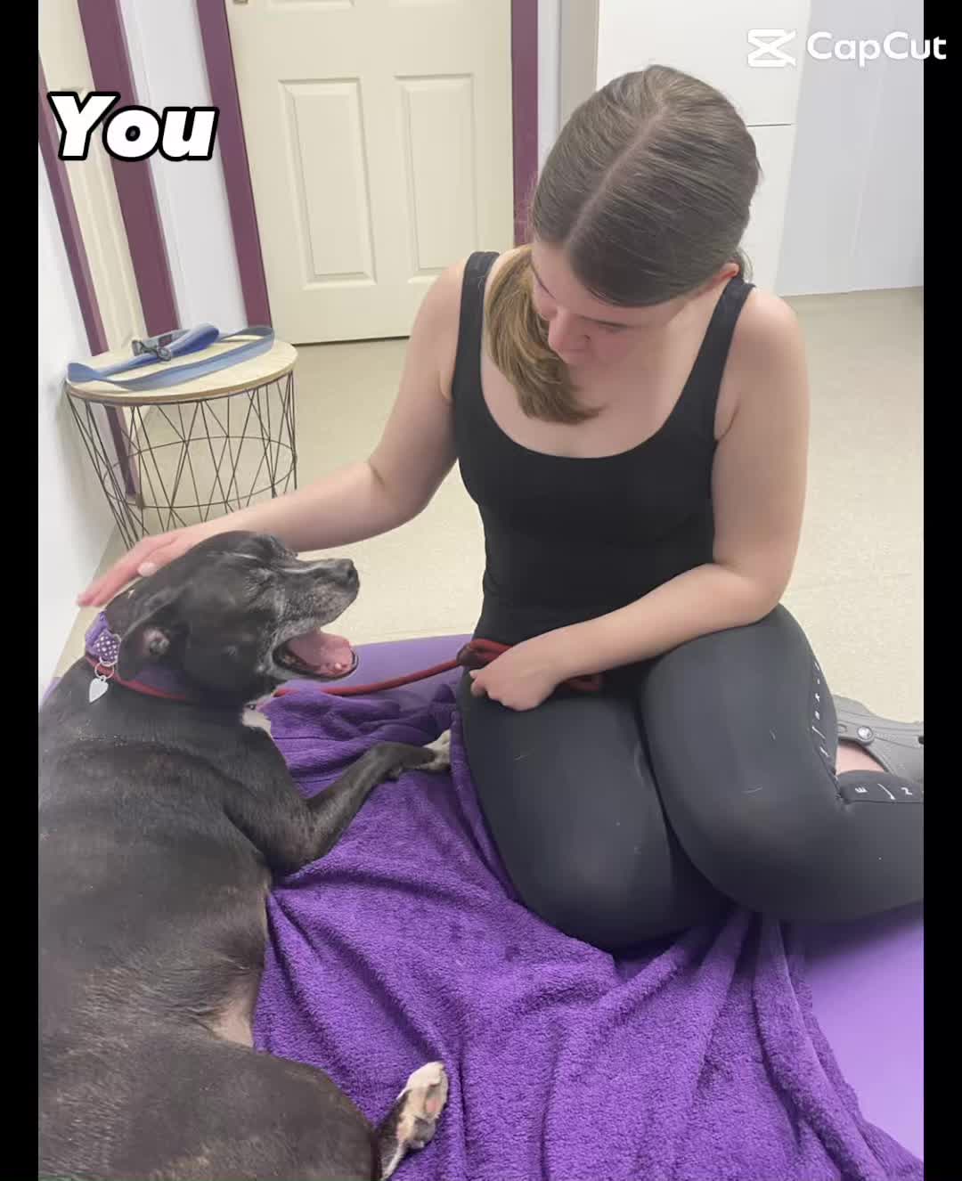 @Valley Animal Therapy Limited