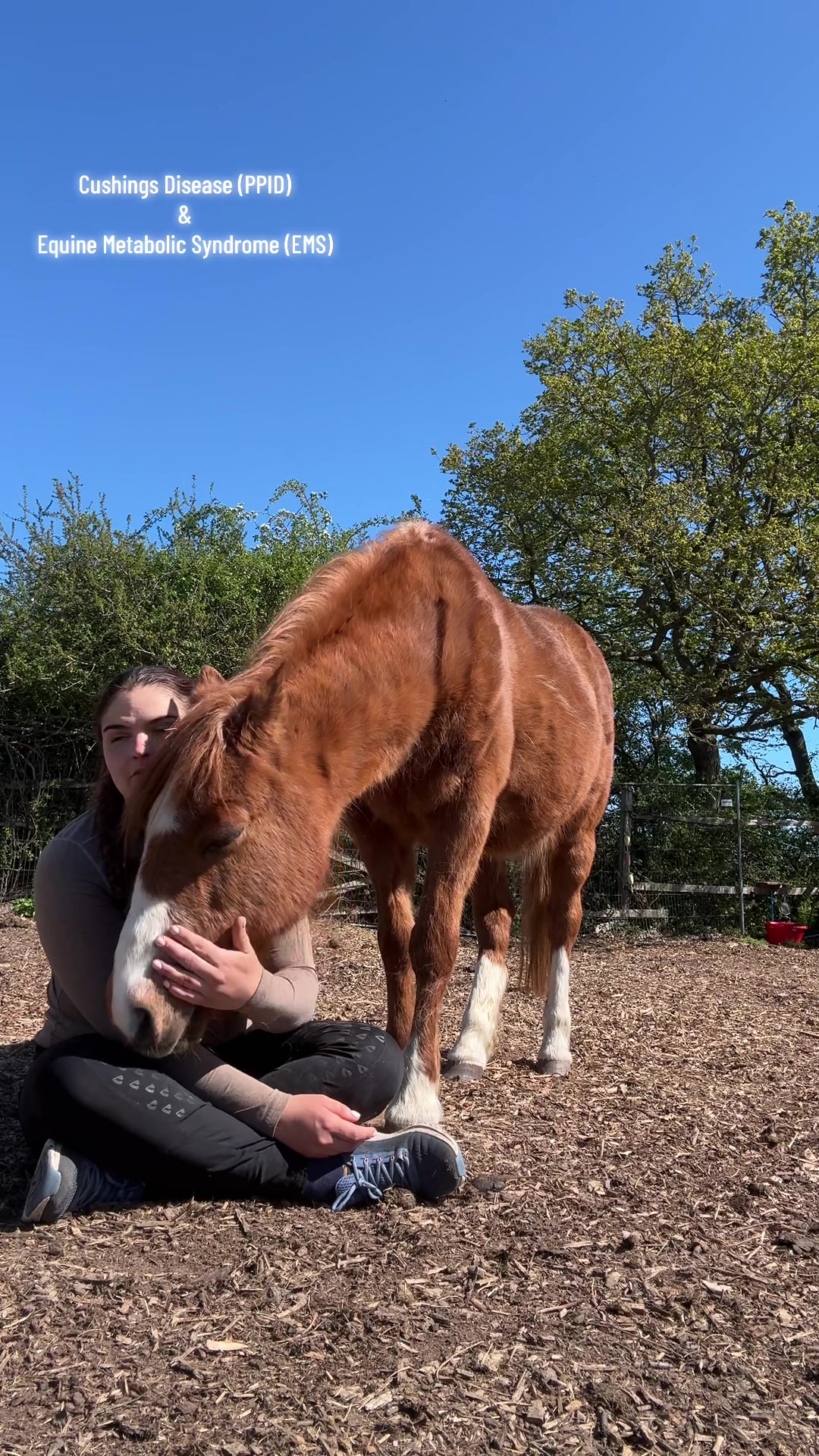 @Charlotte.Equestrian