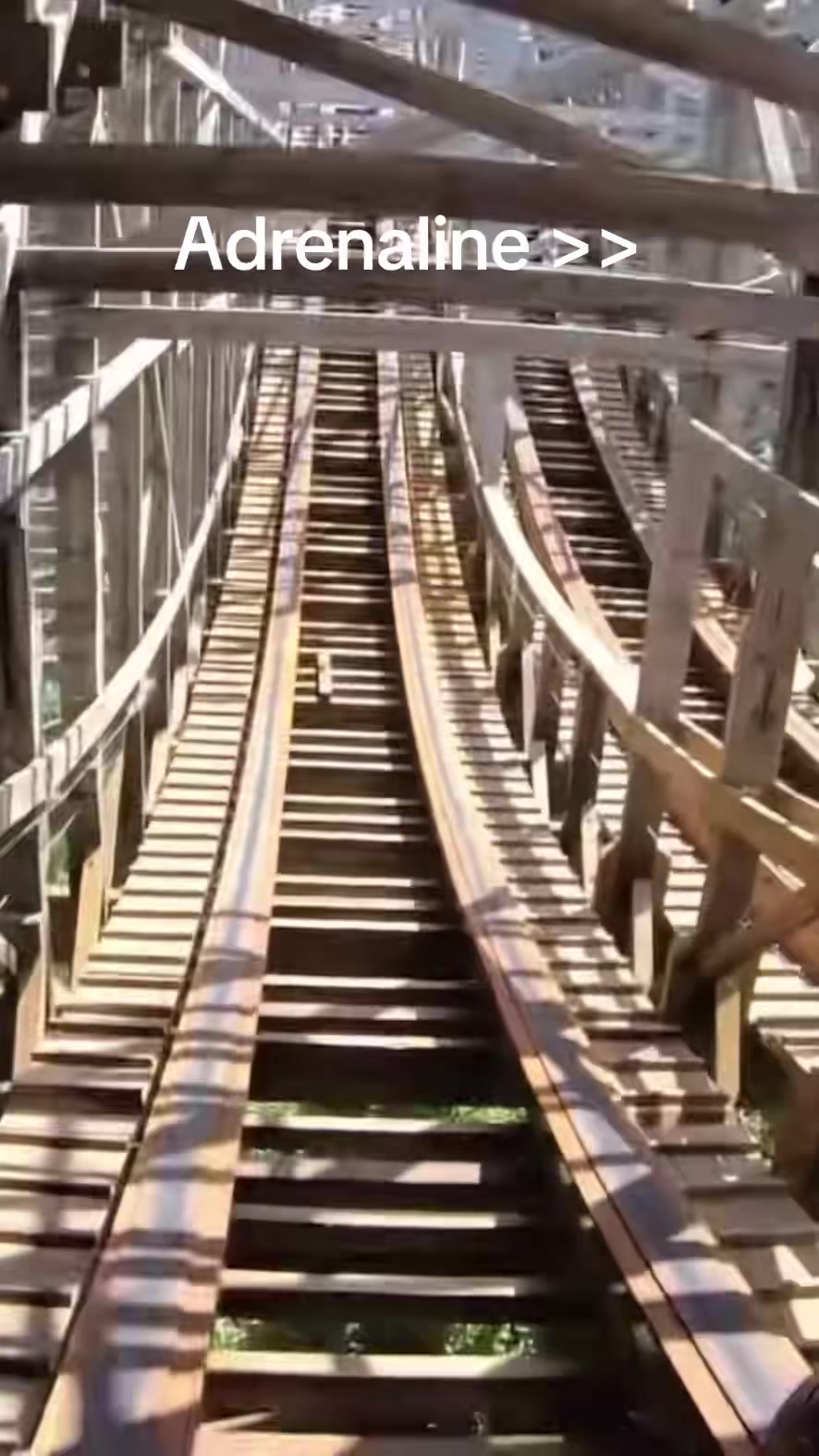 @coasterworld