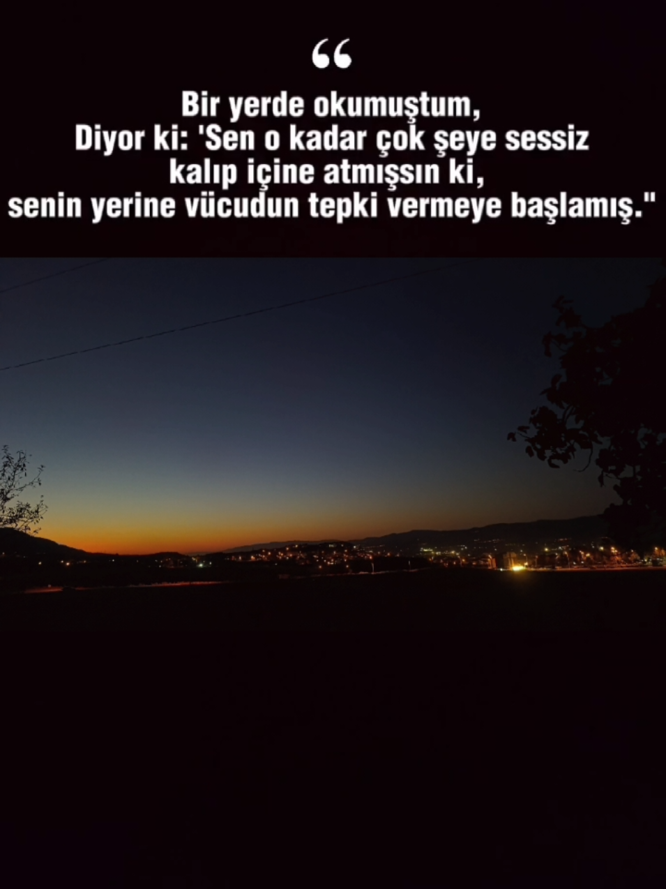 @Sultan 45 Alaşehir