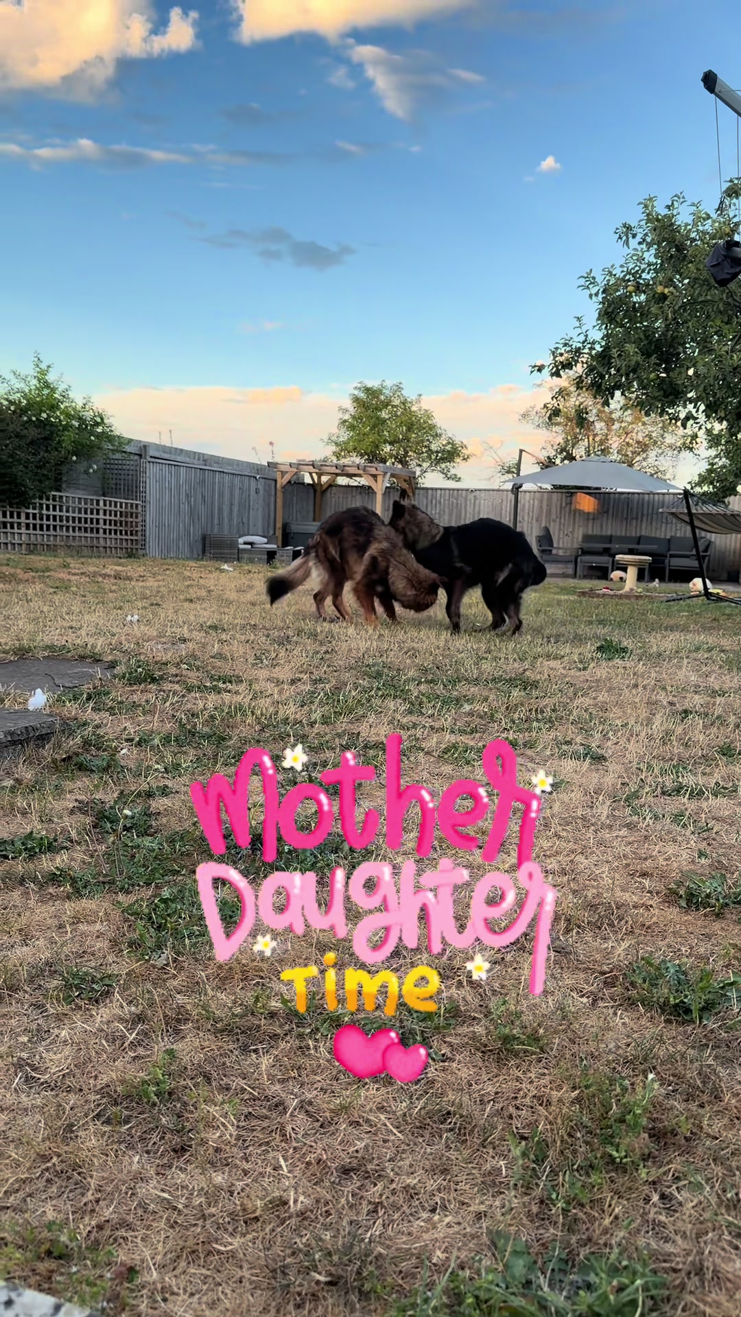 @TheGSDhubwithjennygould