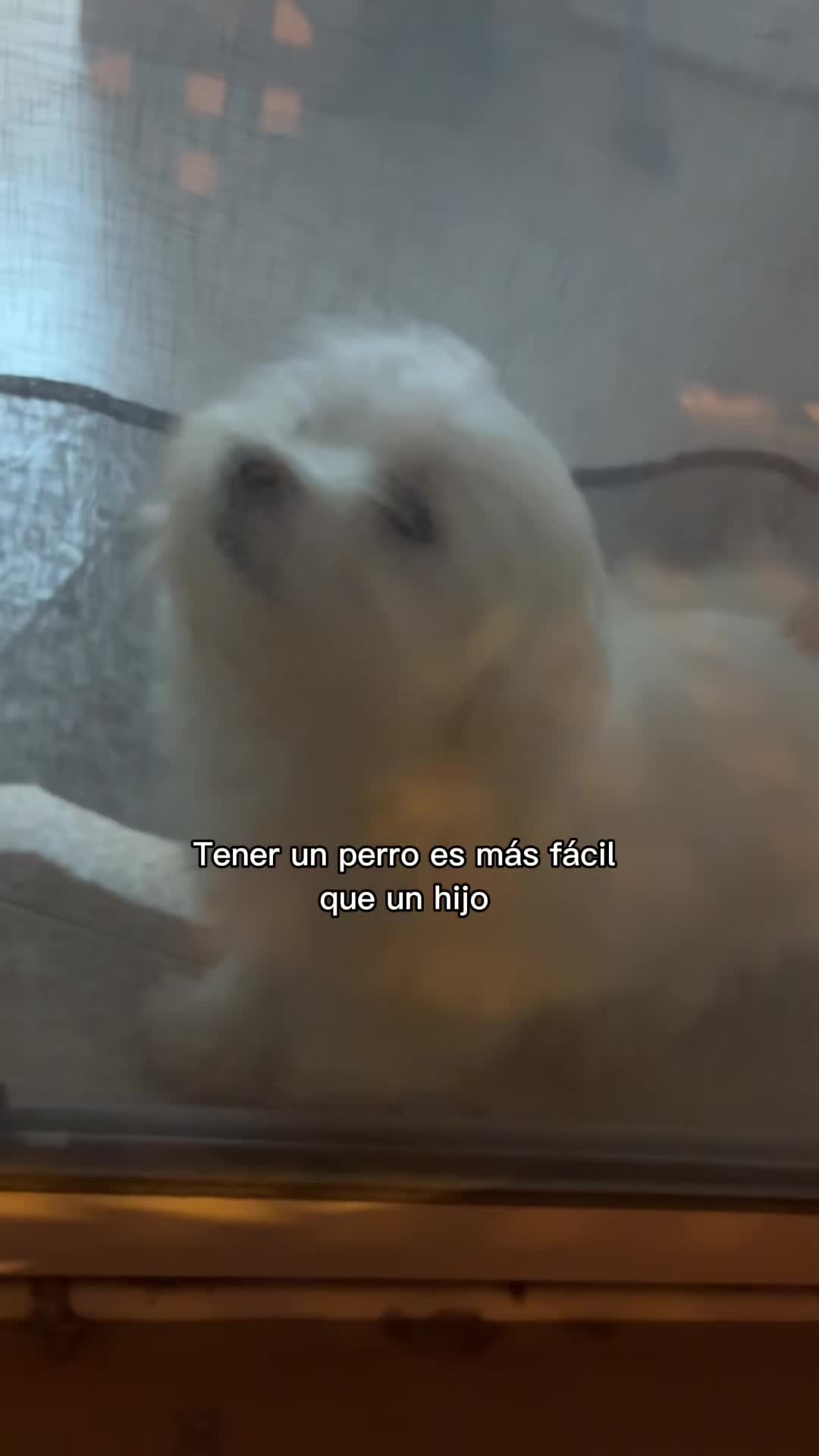 @&Agrave;neuu 🫀