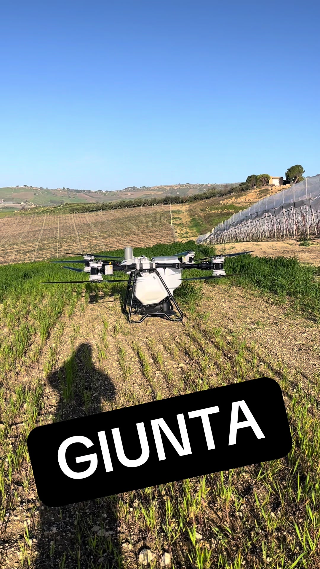 @DV.farm96