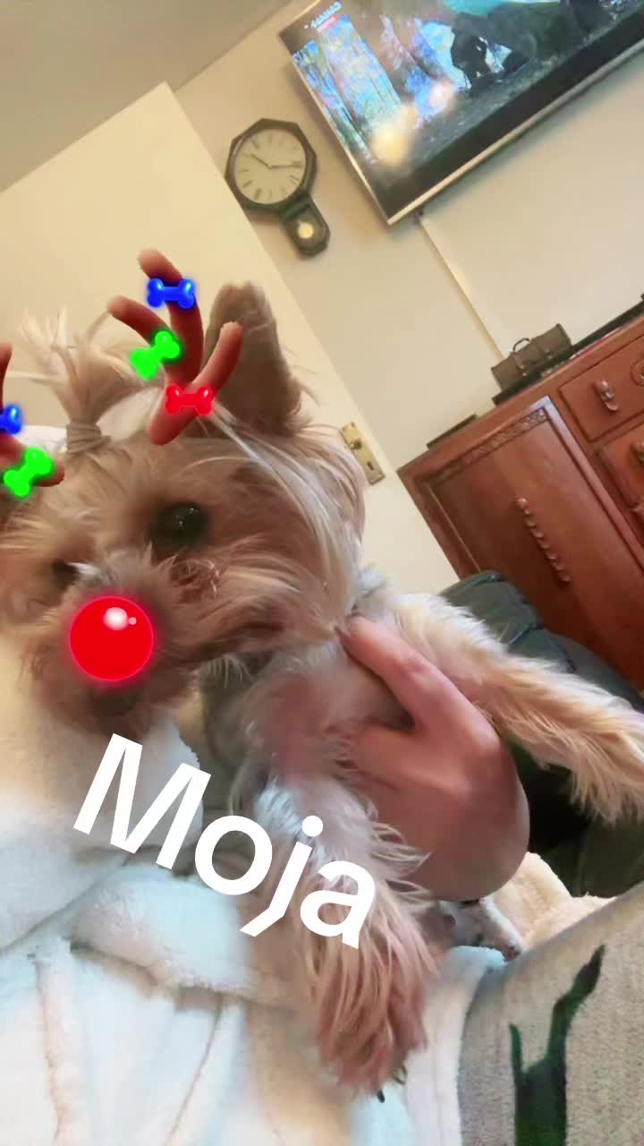 @❤️Weronička❤️