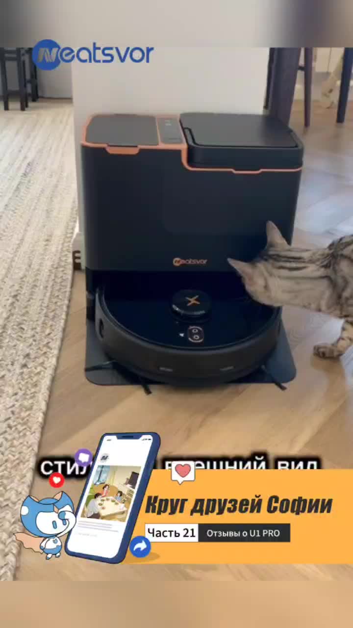 @NeatsvorOfficial