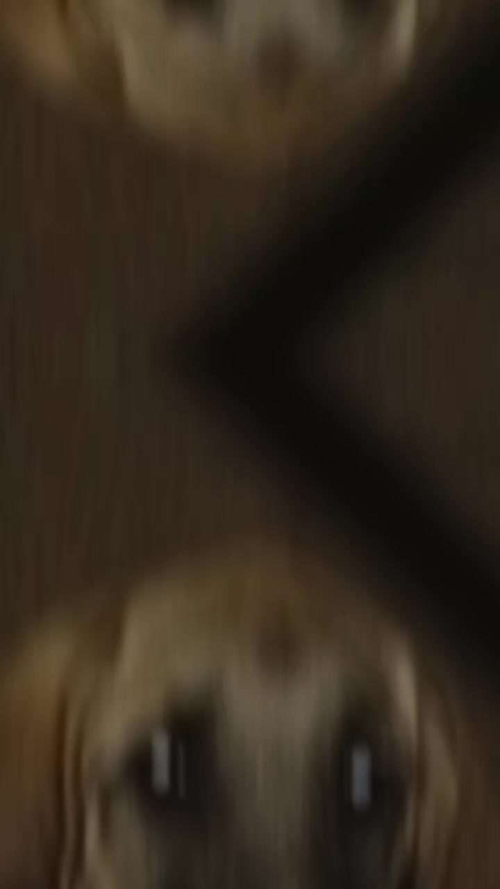 @𝙉𝘼𝙎𝙐𝙃 𝘕𝘙𝘚