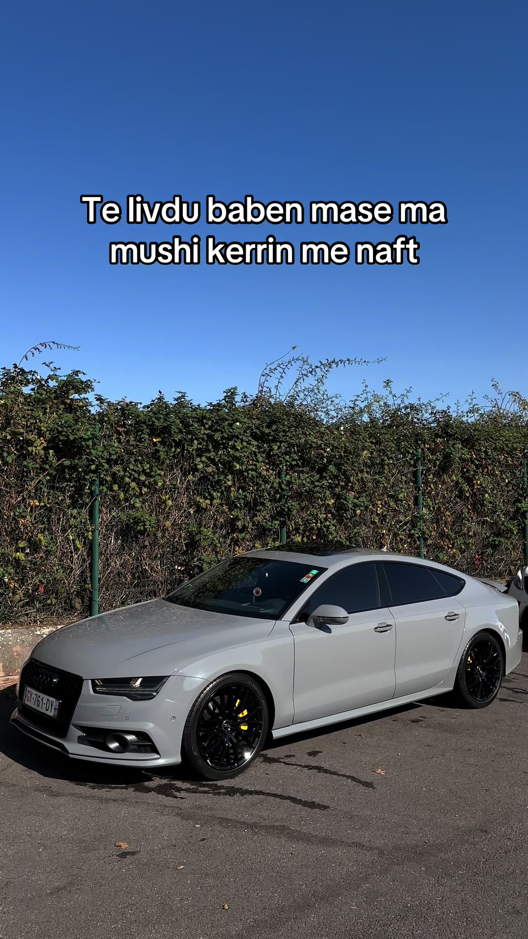 @Labi11