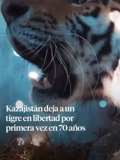 @La Vanguardia 🗞