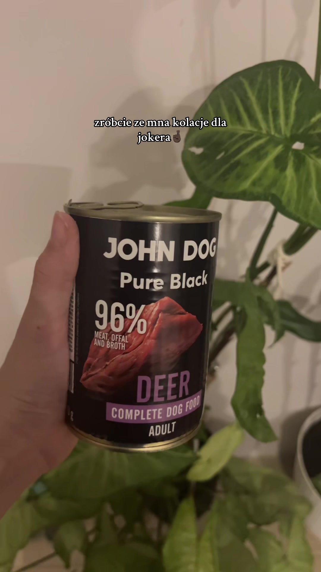 @𝑱 𝑶 𝑲 𝑬 𝑹