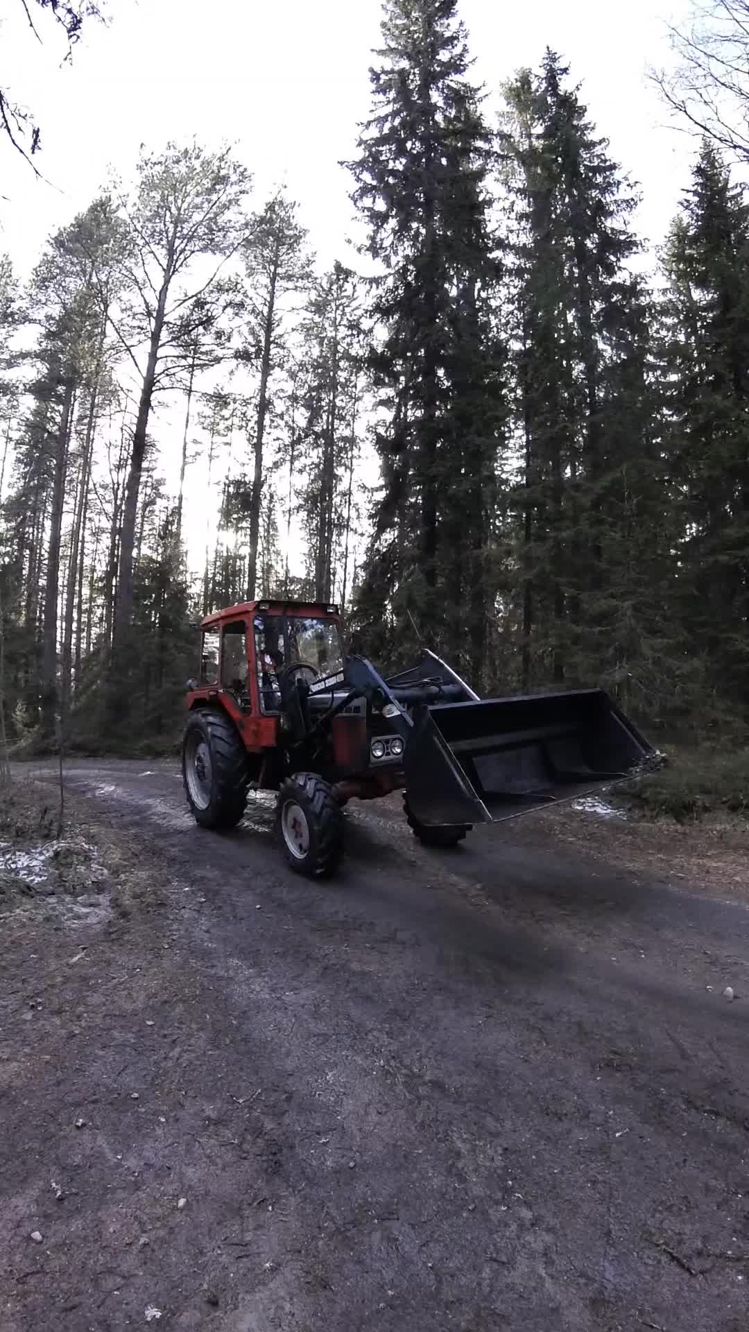 @ForestAndWheels