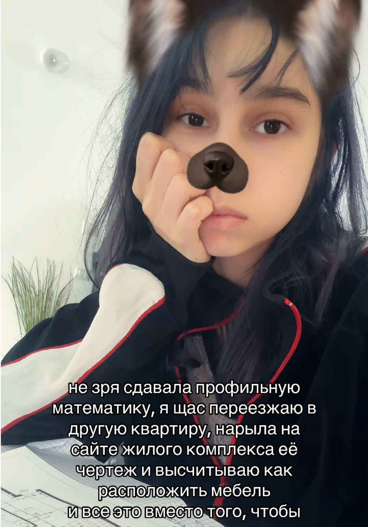 @к Вашим услугам