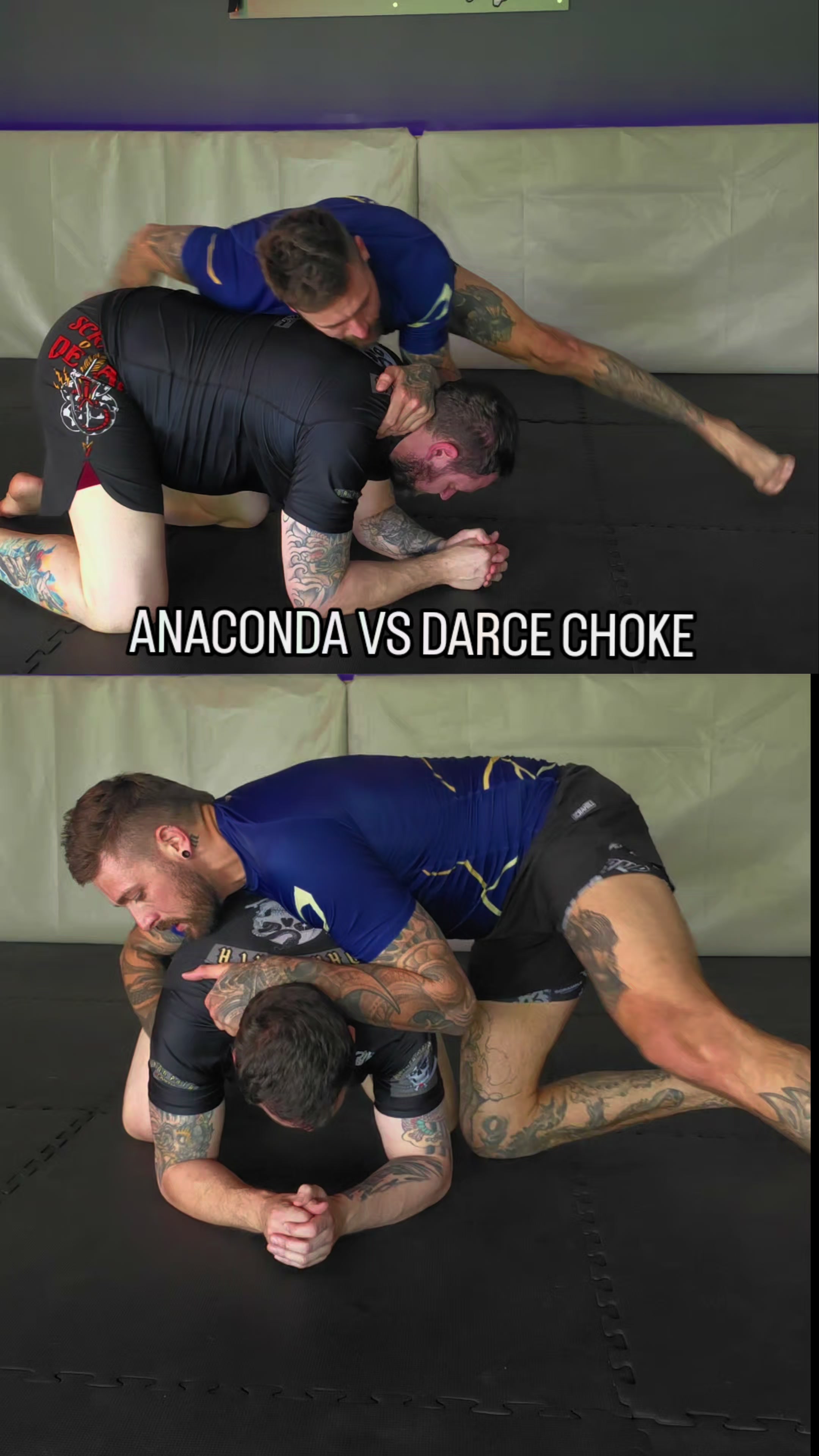@🥋 BJJ TikTok | Adam Ellis