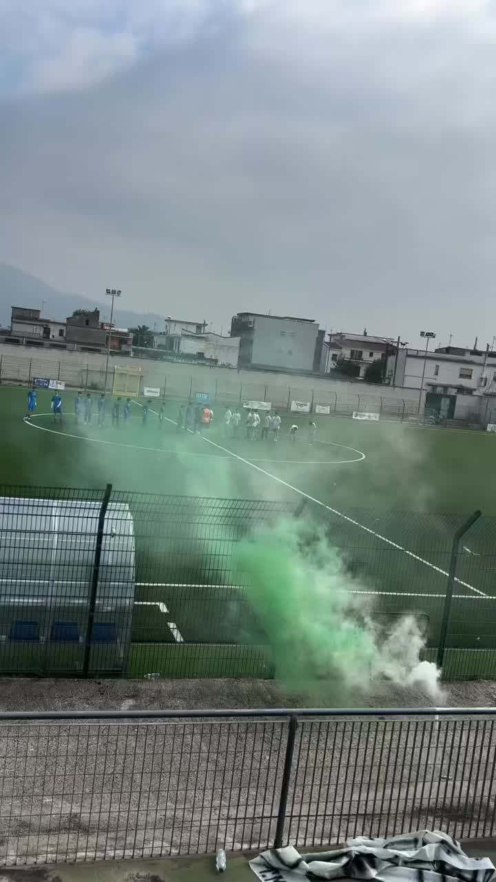 @💚🤍
