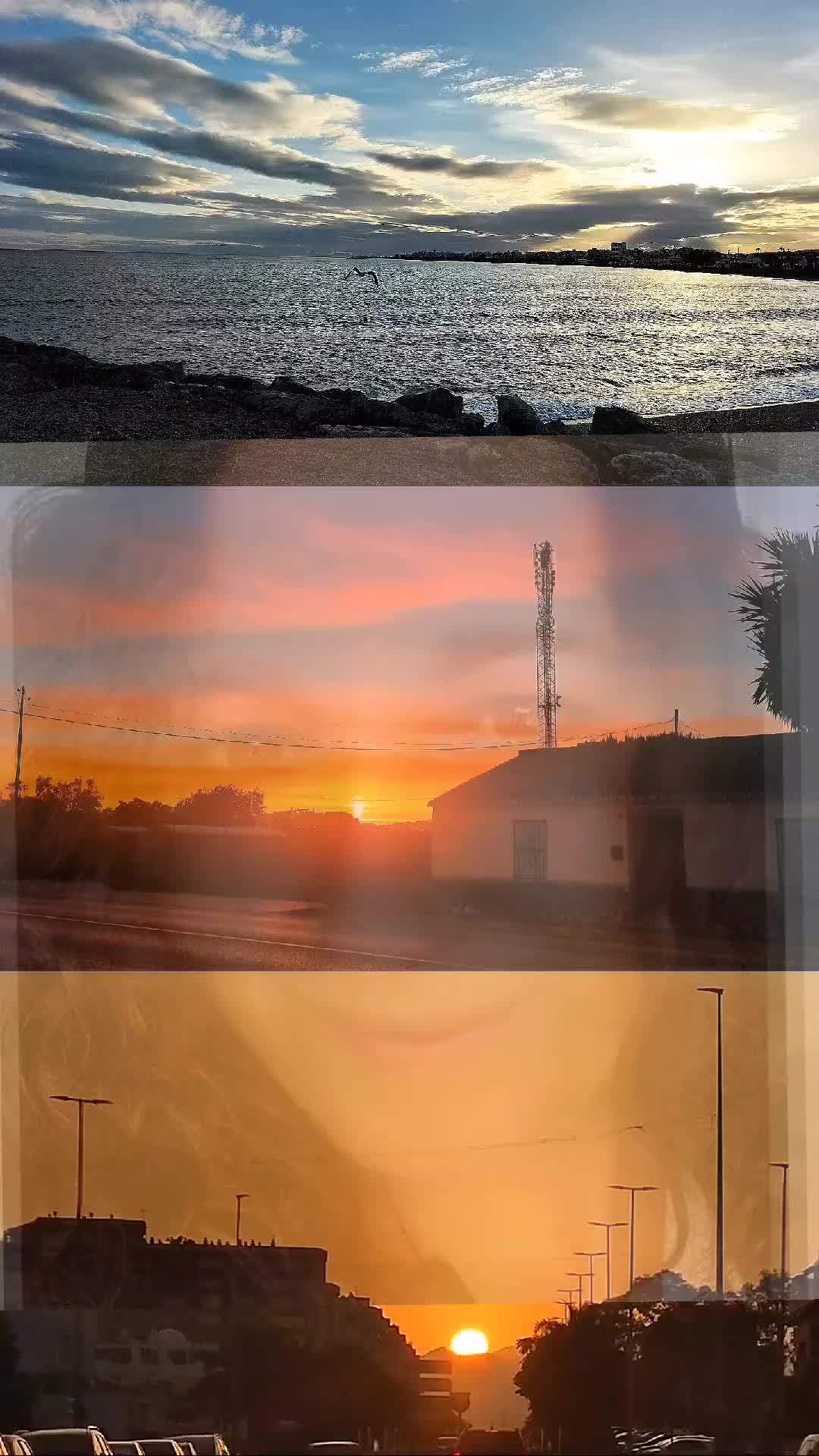 @Surcando Palabras