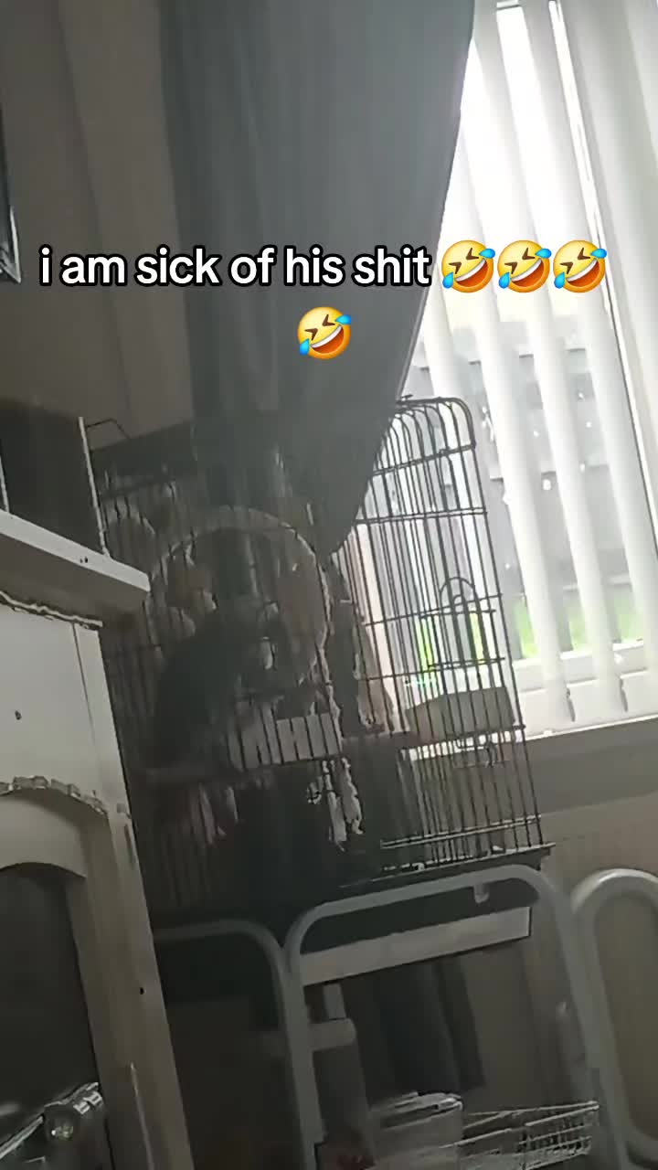 @tattooraverqueenbantergirl💦😉