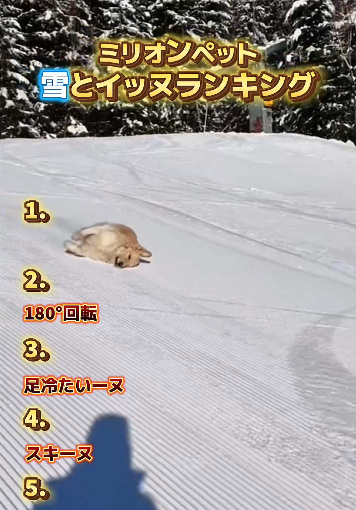 @ミリオンペット