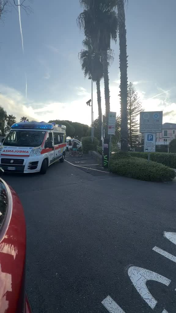@OroCervo