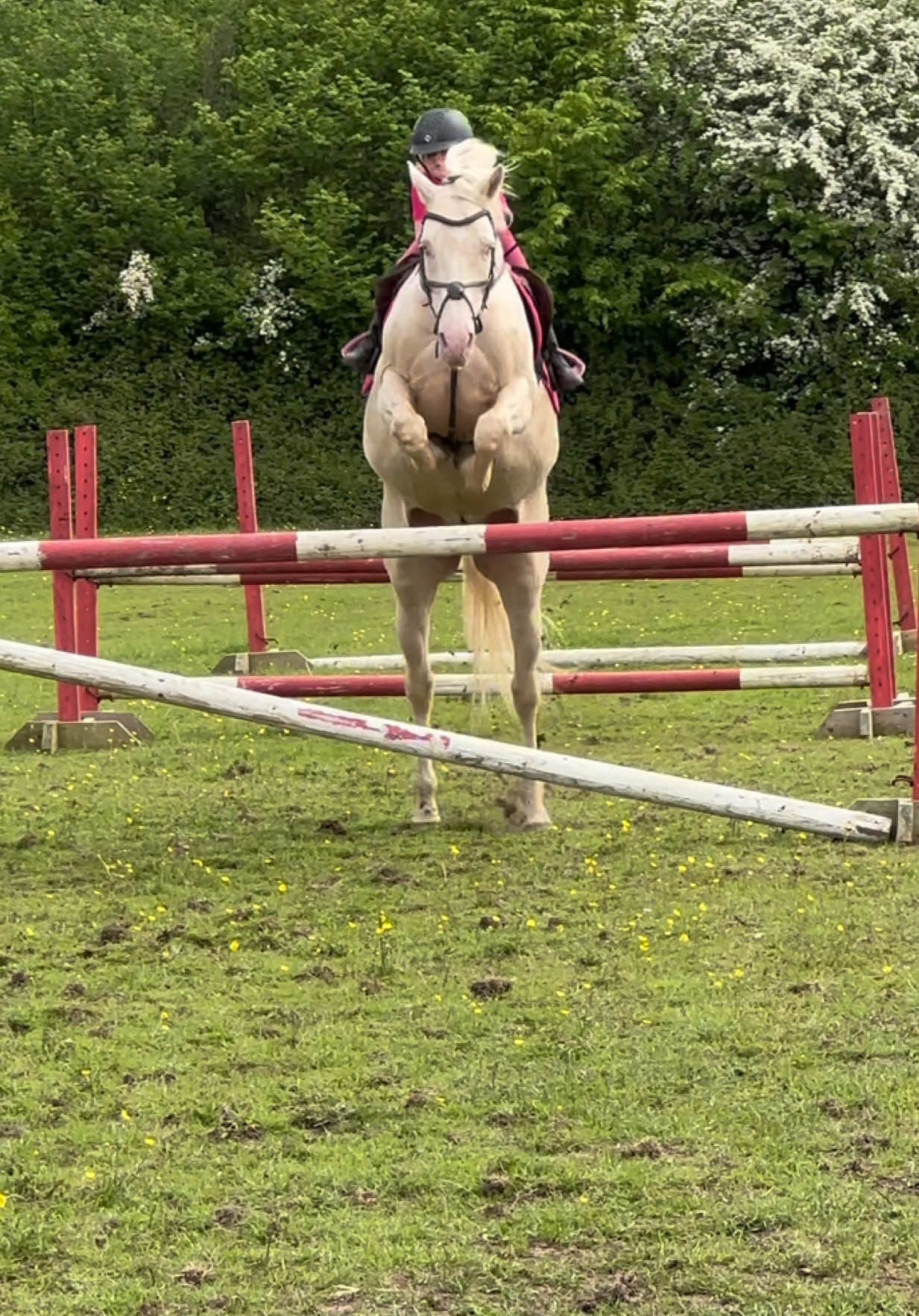 @Jumping With Ivy