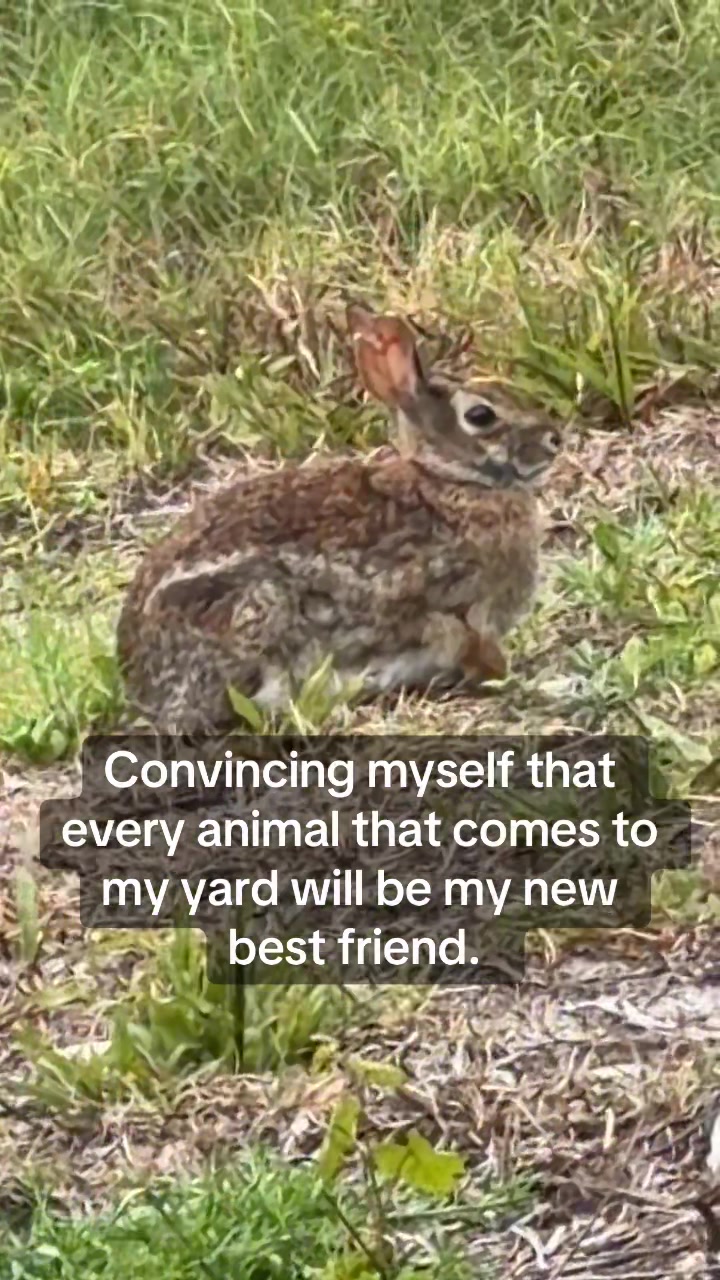 @Kayla🖤